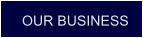OUR BUSINESS